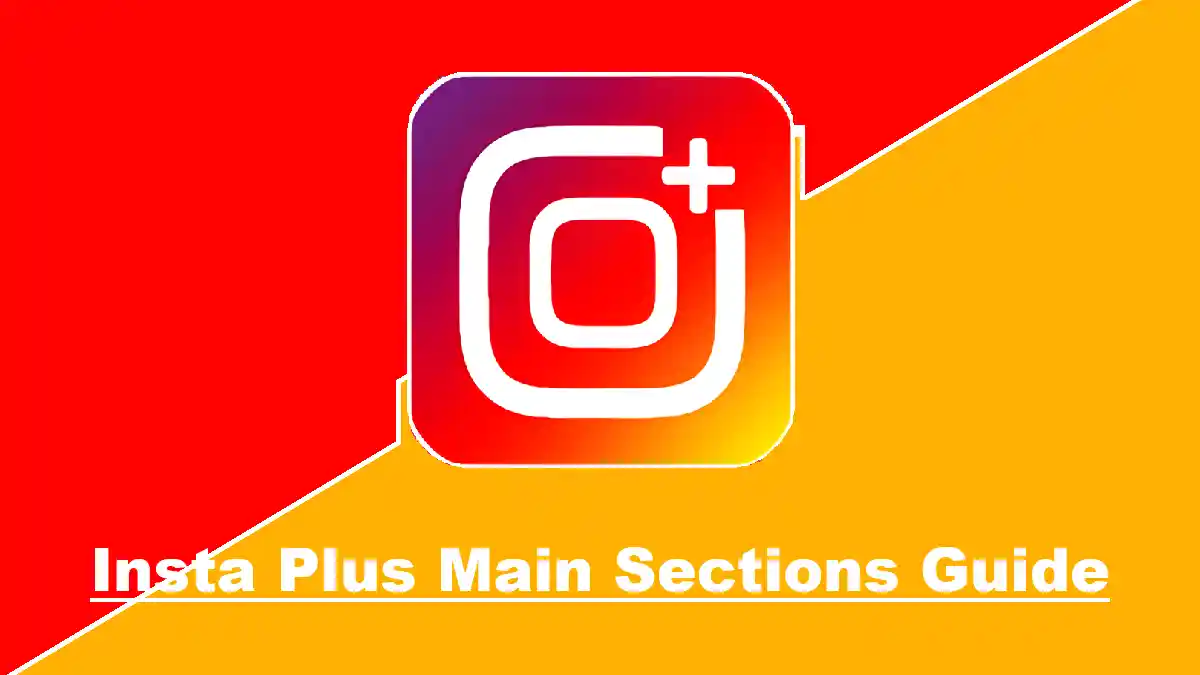 Insta Plus Main Sections Guide